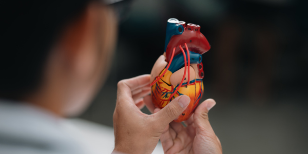 cardiologist-providing-comprehensive-health-care-2026-01-08-08-17-27-utc.jpg