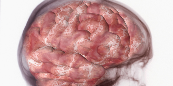 illustration-of-the-human-brain-superimposed-over-2026-03-10-02-06-00-utc.jpg